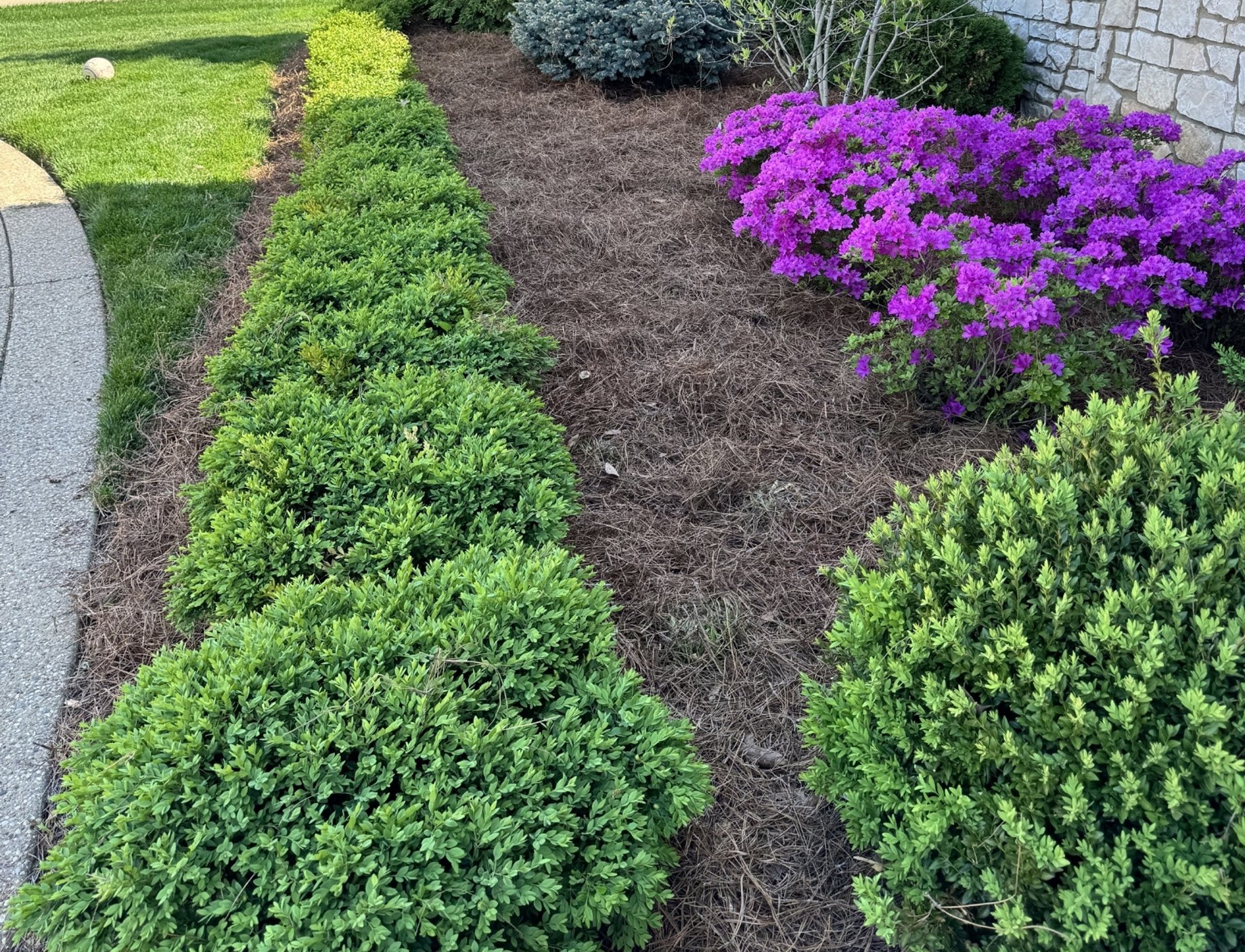 Bryant's Best landscaping reviews Louisville KY