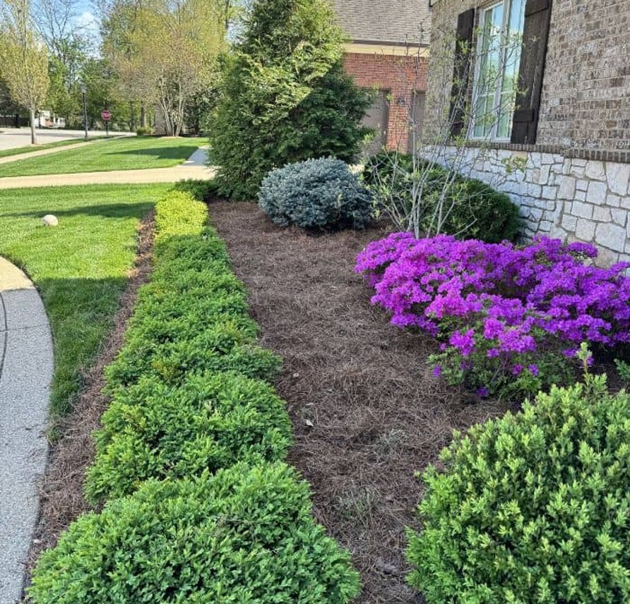 landscaping services Louisville KY